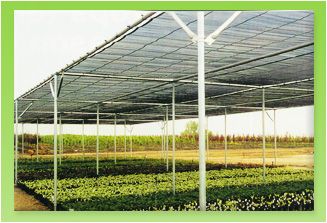 shade net, shade cloth, shade sail